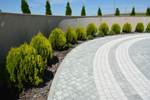 Best Commercial Driveway Pavers  in Braddock Heights, MD